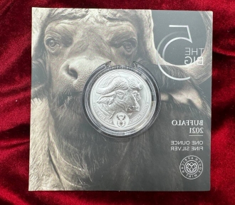 Big Five Buffalo 2021 року