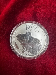Коала 2025 року
